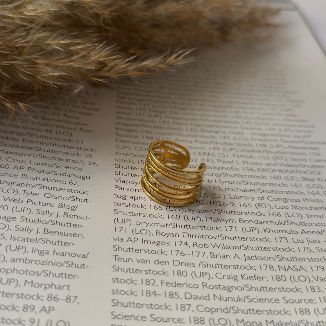 Layer Stack Ring