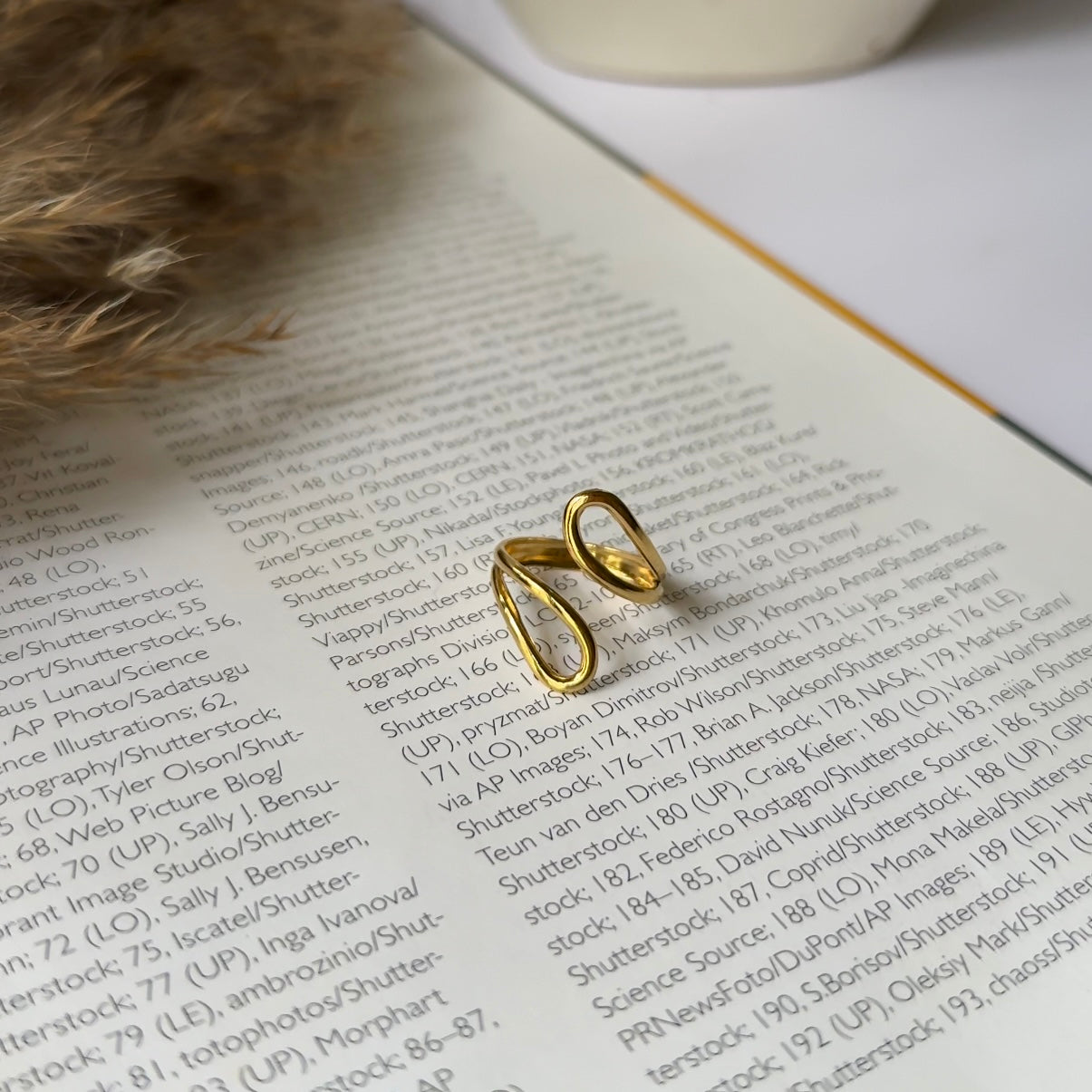 The Ribbon Ring